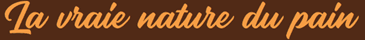 La vraie nature du pain
